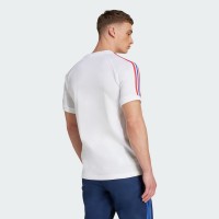 Maillot Anniversaire Homme Olympique Lyonnais 2025