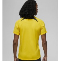 Maillot Jordan Paris Saint Germain pour Homme 23-24